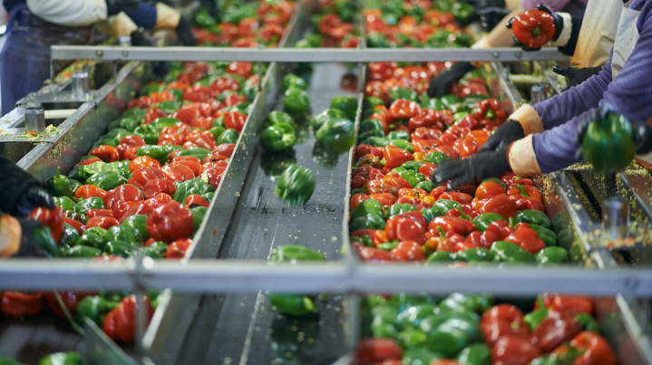 Agricultural products packaging for export