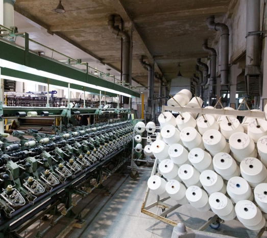 Cotton farming and harvesting process