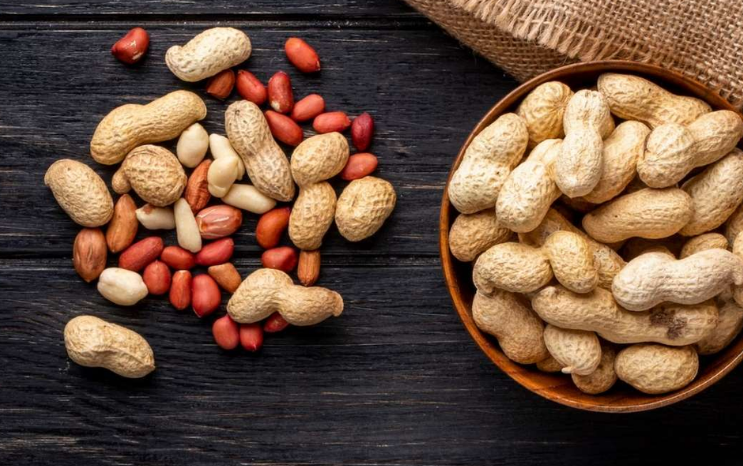 Premium quality Groundnuts harvest and selection